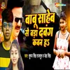 About Babu Saheb Se Bara Dabang Kawan Ha Song